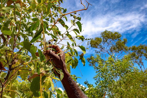 Mitchell Falls And Kimberley Coastal Camp (3night) - Accommodation Gold Coast 2