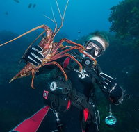 Rottnest Island Deep Dive Day Trips - Accommodation Gold Coast