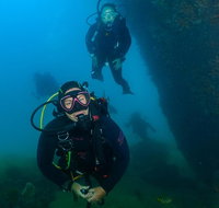Scuba Dive The Beautiful Rottnest Island - Accommodation Gold Coast