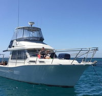 Single Boat Dive - Accommodation Gold Coast