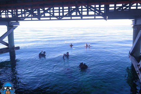 PADI Open Water Course - Accommodation Gold Coast 3