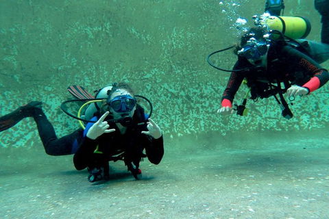 PADI Open Water Course - Accommodation Gold Coast 4