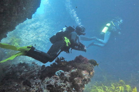 PADI Open Water Course - Accommodation Gold Coast 2
