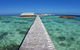 Abrolhos Islands 5 Day Tours - thumb 4