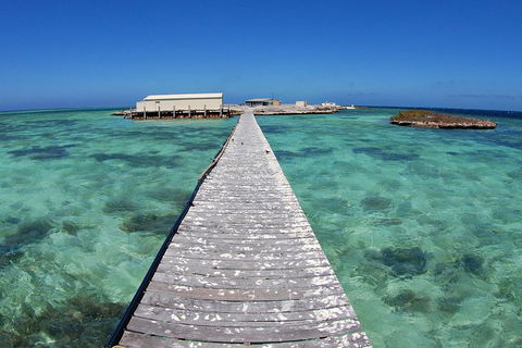 Abrolhos Islands 5 Day Tours - Accommodation Gold Coast 4