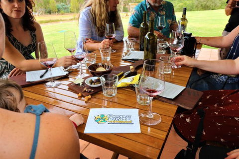The Favourite 4 Experience - Accommodation Gold Coast 2