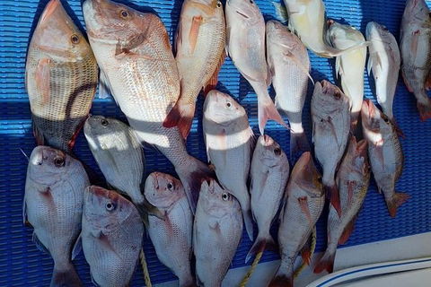 Geraldton Fishing Charter - Accommodation Gold Coast 7