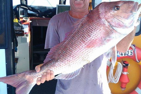 Geraldton Fishing Charter - Accommodation Gold Coast 10