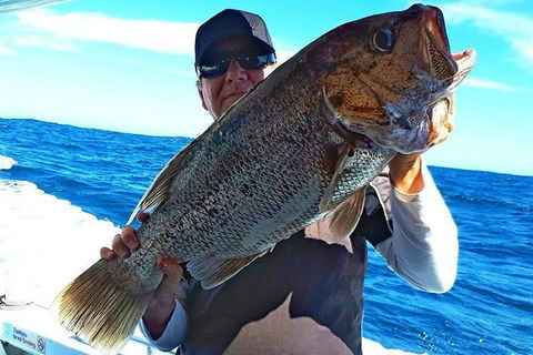 Geraldton Fishing Charter - Accommodation Gold Coast 4