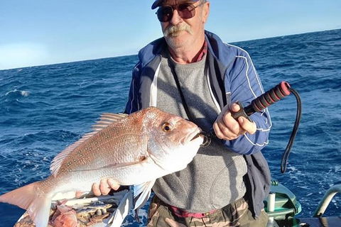 Geraldton Fishing Charter - Accommodation Gold Coast 8