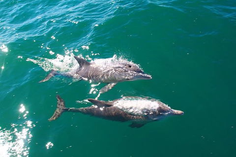 Sailing Kayak Adventure Through The Peel Harvey Estuary - Accommodation Gold Coast 1