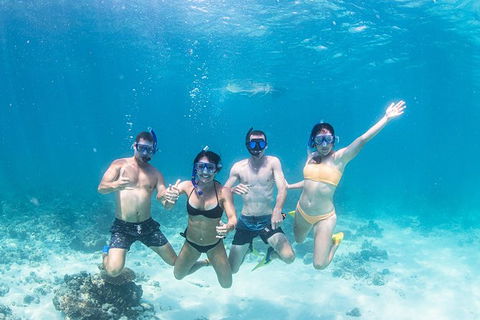 Full-Day Whale Sharks Swimming Experience On Ningaloo Reef - 1 Gold Coast 5