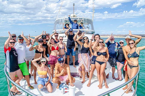 Full-Day Whale Sharks Swimming Experience On Ningaloo Reef - 1 Gold Coast 1