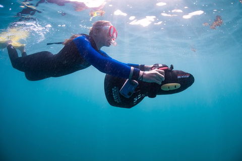 Full-Day Whale Sharks Swimming Experience On Ningaloo Reef - 1 Gold Coast 4