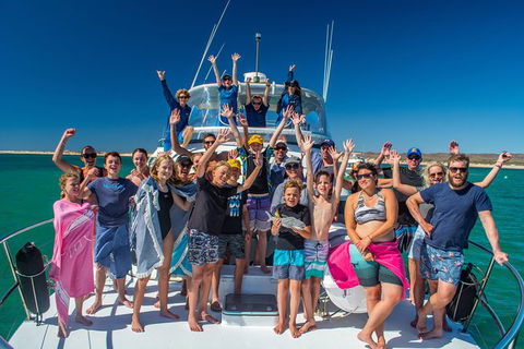 Full-Day Whale Sharks Swimming Experience On Ningaloo Reef - 1 Gold Coast 15