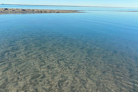The Island Sandbar Experience - Accommodation Gold Coast 4