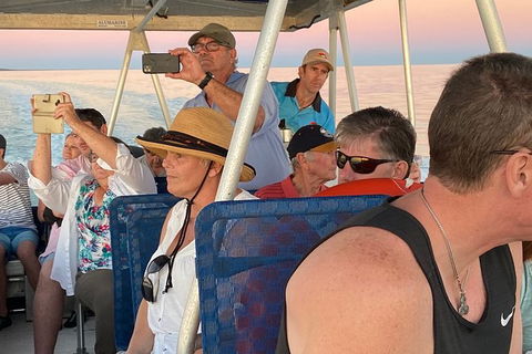The Island Sandbar Experience - Accommodation Gold Coast 3
