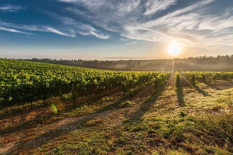 Perth To Margaret River Wine Tour - 2 Day Premium Boutique Wine Tour Experience - Accommodation Gold Coast 0
