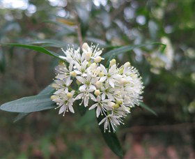 Booderee National Park - Accommodation Gold Coast 0