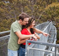 Valley of the Giants Tree Top Walk - Accommodation Gold Coast