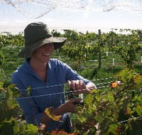 Kingsdale Wines - Accommodation Gold Coast