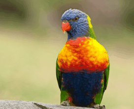 Booderee National Park - Accommodation Gold Coast 1