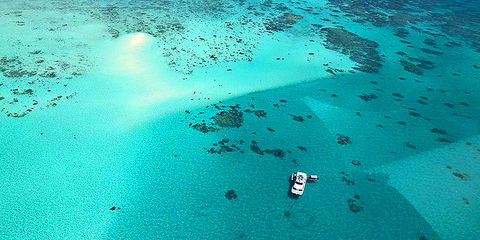 Ocean Free & Ocean Freedom - Cairns Premier Reef And Island Tours - Accommodation Gold Coast 3