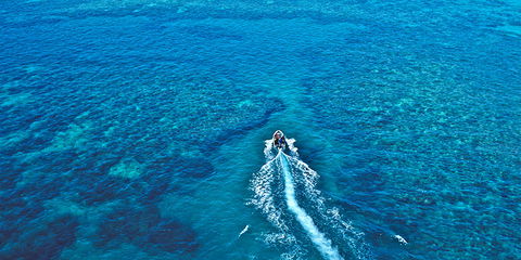 Ocean Free & Ocean Freedom - Cairns Premier Reef And Island Tours - Accommodation Gold Coast 4