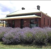 Lavender House in Railway Park - Accommodation Gold Coast