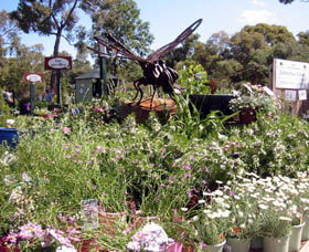 Zanthorrea Nursery - Accommodation Gold Coast 0