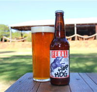 Feral Brewing Company - Accommodation Gold Coast
