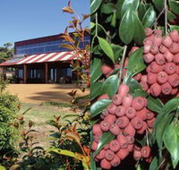 Bushfood Factory and Cafe - Accommodation Gold Coast