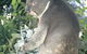 Whiteman Park - thumb 0