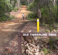Old Timberline and Sidings Rail Trails - Accommodation Gold Coast