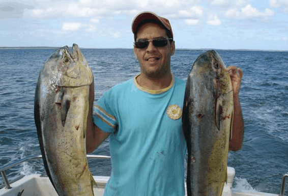 Jervis Bay Fishing And Charters - Accommodation Gold Coast 0