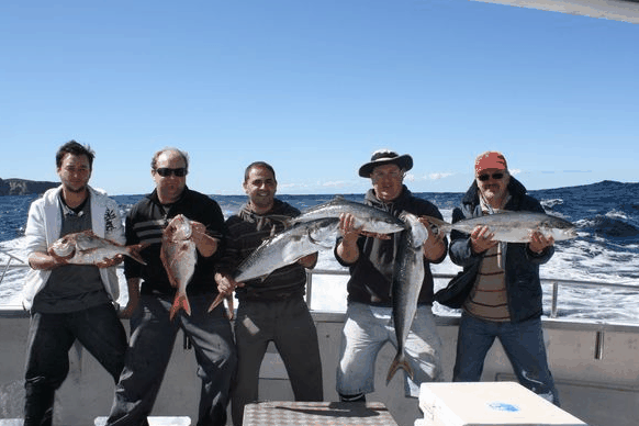 Jervis Bay Fishing And Charters - Accommodation Gold Coast 2