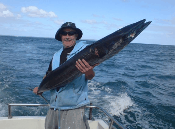 Jervis Bay Fishing And Charters - Accommodation Gold Coast 4