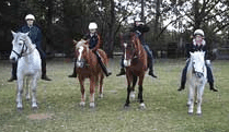 Valhalla Horse Riding - Accommodation Gold Coast 1