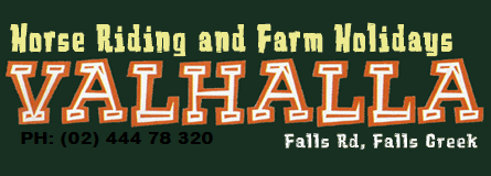Valhalla Horse Riding - Accommodation Gold Coast 4