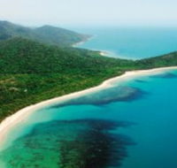 Jungle Tours and Trekking - Accommodation Gold Coast
