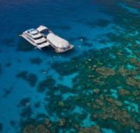 Great Adventures Reef and Green Island Cruises - Accommodation Gold Coast