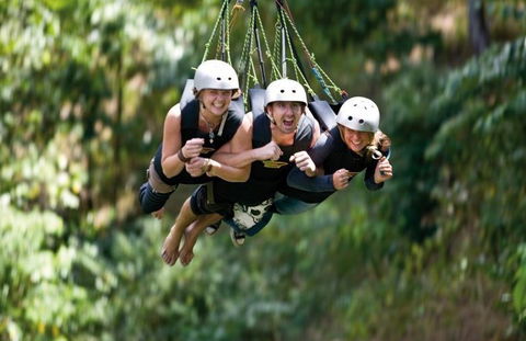 AJ Hackett Cairns - Accommodation Gold Coast 4