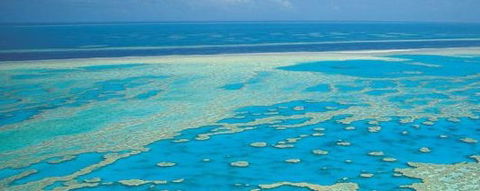 Aristocat Snorkel And Scuba Port Douglas - Accommodation Gold Coast 3