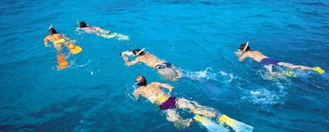 Aristocat Snorkel And Scuba Port Douglas - Accommodation Gold Coast 4
