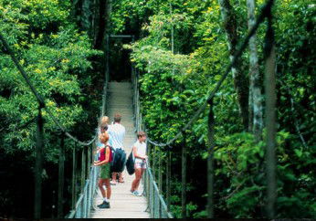 BTS Tours Pty Ltd - Accommodation Gold Coast 4