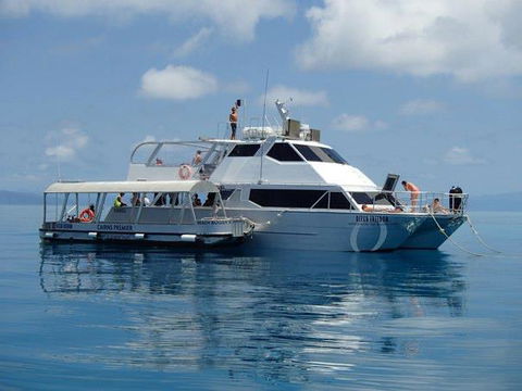 Ocean Free & Ocean Freedom - Cairns Premier Reef And Island Tours - Accommodation Gold Coast 1