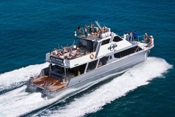 Ocean Free & Ocean Freedom - Cairns Premier Reef And Island Tours - Accommodation Gold Coast 2
