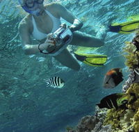Calypso Reef Charters - Accommodation Gold Coast