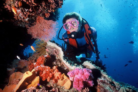 Calypso Reef Charters - 1 Gold Coast 2