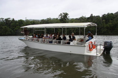 Daintree River Cruise Centre - Accommodation Gold Coast 3